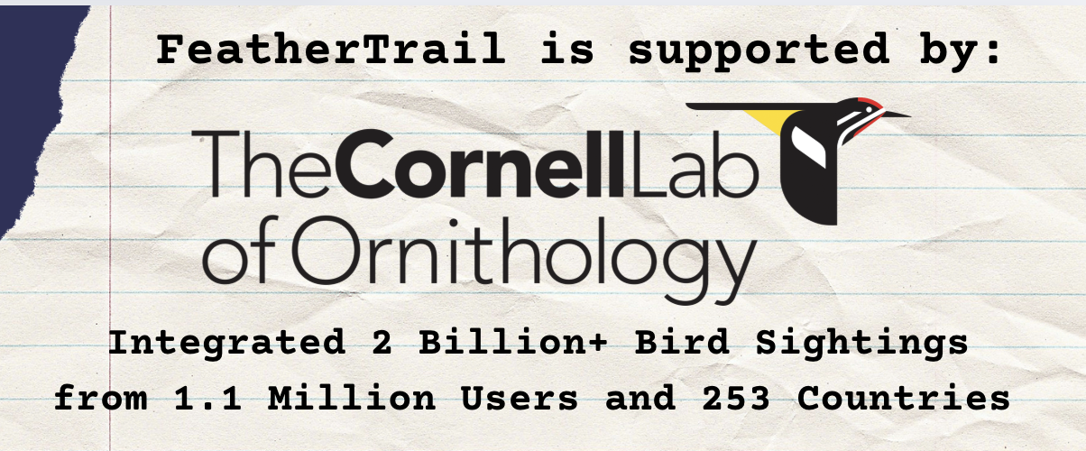 Feather Trail
